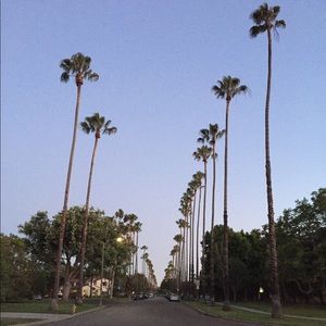 Meet your Posher, Lance